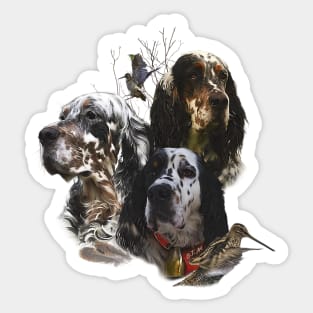 English Setter , Woodcock Hunting Season Sticker